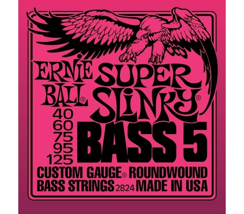 Ernie Ball 2824