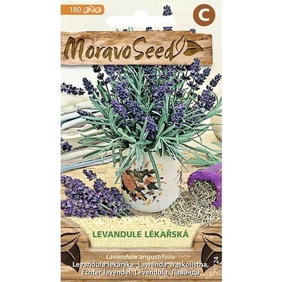Levandule lékařská MoravoSeed