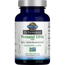 Garden of Life Dr. Formulated Vegan Prenatal DHA 30 softgels