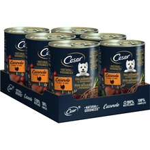 Cesar Natural Goodness krůtí Superfoods 24 x 400 g