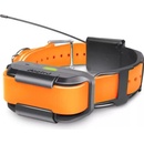 DOGTRA Obojok Pathfinder