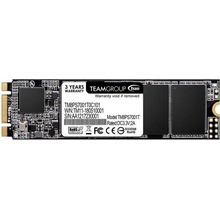 Team Group MS30 256GB M.2 SATA3 (TM8PS7256G0C101)