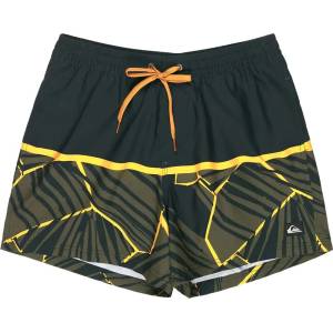 Quiksilver Бански гащета Quiksilver Everyday Poolsider 15´´ swimming shorts - Black (Black Panel Nat Geo)