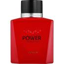 Antonio Banderas Power of Seduction Force toaletní voda pánská 100 ml