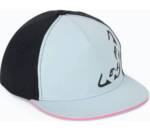 Dynafit Tech Trucker Cloud Blue
