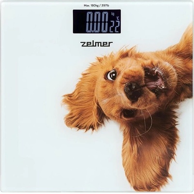 Zelmer ZBS1010