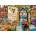 Bluebird Puzzle - Puzzle Stewart: Life is an Open Book Venice - 500 piese