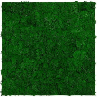 JANGAL • Modular Wall - Nature Moss | 11100 Nature Green