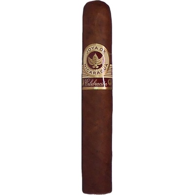 Joya de Nicaragua Celebracion Robusto