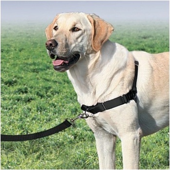 PetSafe Postroj EasyWalk M