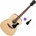 Ibanez V40-OPN Basic SET Open Pore Natural Акустична китара