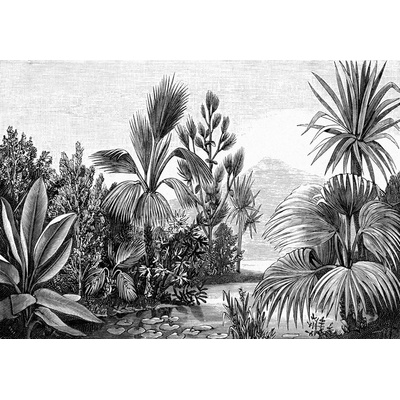 Esta Home 158953 Vliesová černobílá obrazová tapeta džungle palmy 350x279cm