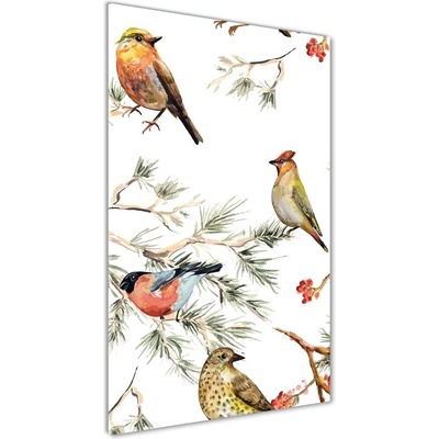 Vertikálny fotoobraz na skle Vtáky 50x100 cm