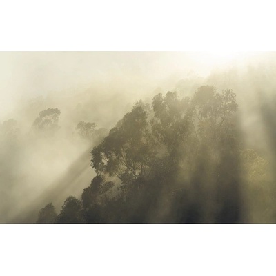 SH067-VD4 Fototapeta vliesová Misty Mountain 4-dílná rozměry 400x250 cm
