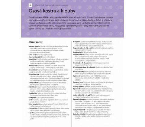 Cvičebnice anatomie pro studenty