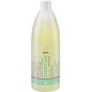 Master Profesional šampon pro každodenní použití 970 ml