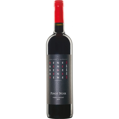 Beneš Pinot Noir výběr z hroznů 2023 13,5% 0,75 l (čistá fľaša)