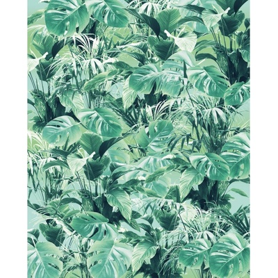 Komar Vliesová fototapeta Evergreen rozměry 200 x 250 cm