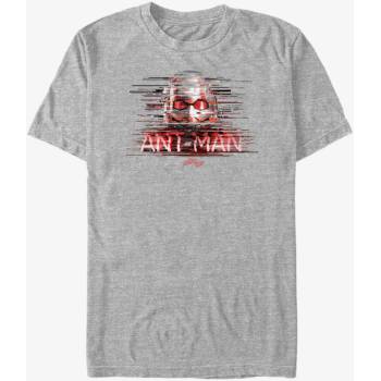 ZOOT. Fan Ant-Man and The Wasp ZOOT. FAN Marvel - унисекс тениска ZOOT. Fan | Siv | МЪЖЕ | M