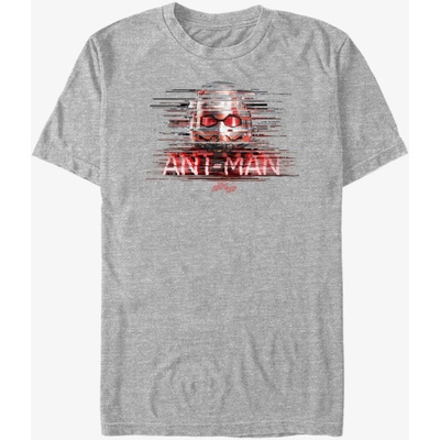 ZOOT. Fan Ant-Man and The Wasp ZOOT. FAN Marvel - унисекс тениска ZOOT. Fan | Siv | МЪЖЕ | M