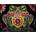 Colorvelvet - Włochy Velvet coloring page 47x35 Frog