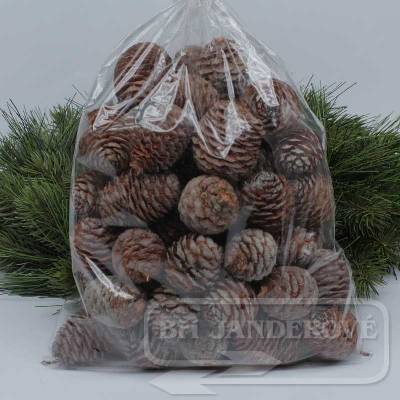 Muirii cones - 500gr