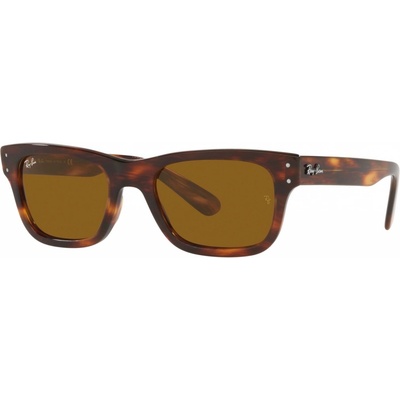 Ray-Ban RB2283 954 33
