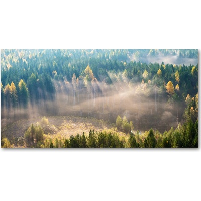 Fotoobraz na skle Hmla v lese 100x50 cm