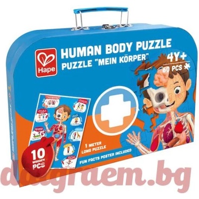 Hape Дървен пъзел hape e1635 - 60 части - Човешко тяло (h1635)