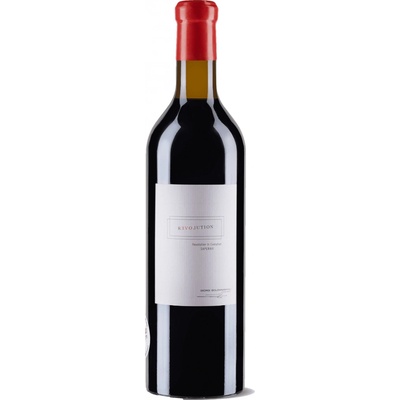 Solomnishvili Saperavi Revolution červené 2017 13% 0,75 l (holá láhev)