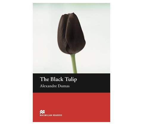 Black Tulip