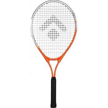 ARTIS STANDARD 23