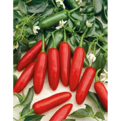 Paprika chilli Atzeco