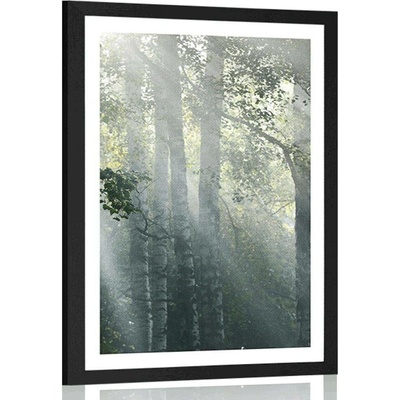 Plakát s paspartou sluneční paprsky v mlhavém lese - 40x60 white