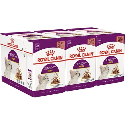 Royal Canin FHN Sensory Smell Gravy 36 x 85 г