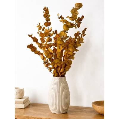 Stabilizovaný eukalyptus ESPIRAL okrový, kytice/svazek 100g