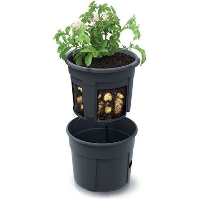 PROSPERPLAST Kvetináč POTATO GROWER antracitový 29,5cm