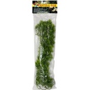 Zoo Med Borneo Star L