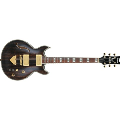 Ibanez AR520HME-NT – Hledejceny.cz