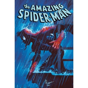 Amazing Spider-Man By Zeb Wells Omnibus Vol. 2 (ISBN: 9781302966638)