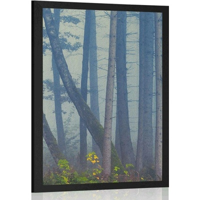 Plakát tajemný les - 40x60 white