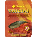 Tropical Triops 10 g