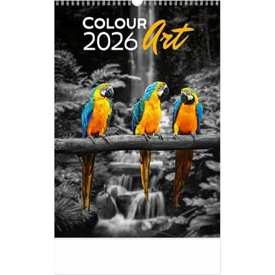 Colour Art nástěnný Helma 365 2026