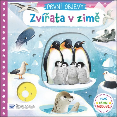 První objevy Zvířata v zimě