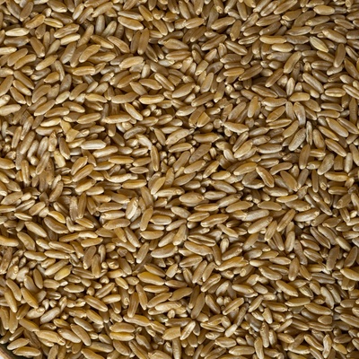 Country Life Kamut Bio 0,5 kg – Zboží Dáma