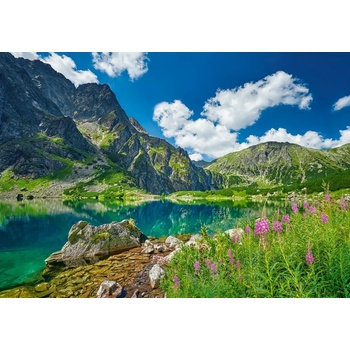 Castorland - Puzzle Czarny Staw pod Rysami, Tatras, Poland - 500 piese