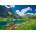 Castorland - Puzzle Czarny Staw pod Rysami, Tatras, Poland - 500 piese