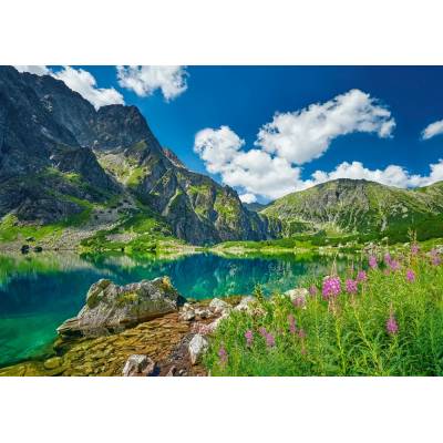 Castorland - Puzzle Czarny Staw pod Rysami, Tatras, Poland - 500 piese