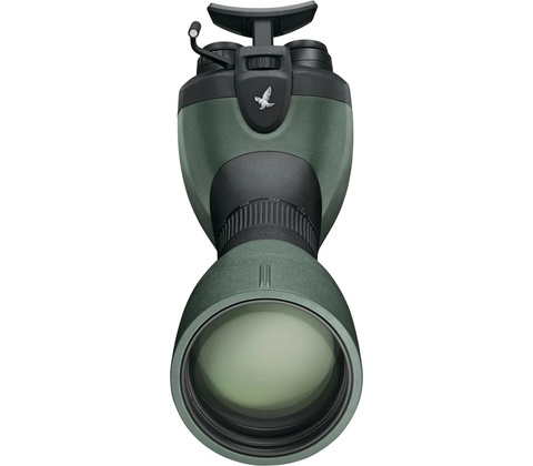 Swarovski BTX 30x65