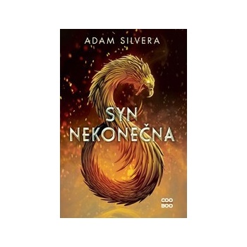 Syn nekonečna - Adam Silvera